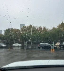 立冬雨