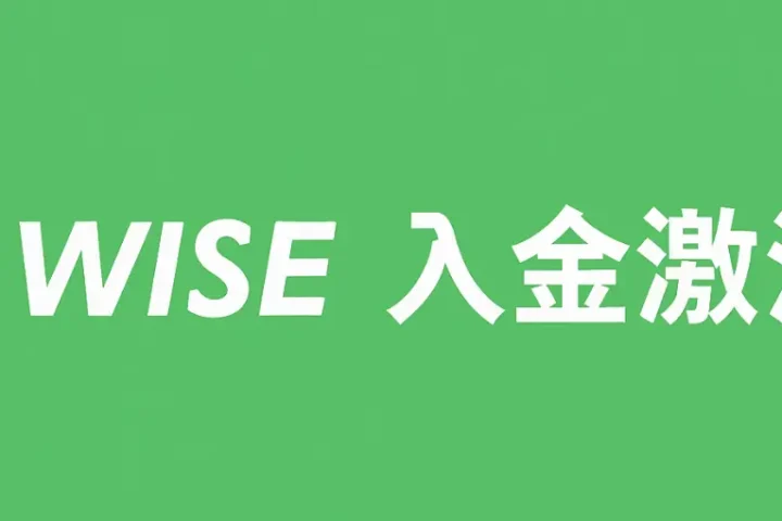 wise入金