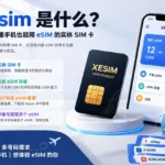 Xesim 中文评测