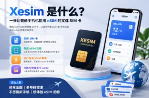 Xesim 中文评测