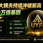 UYFI 大姨夫