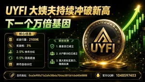 UYFI 大姨夫